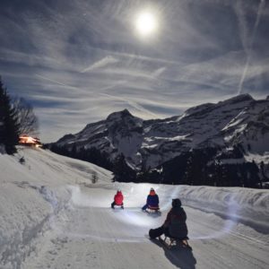 NIGHT SLEDGING
