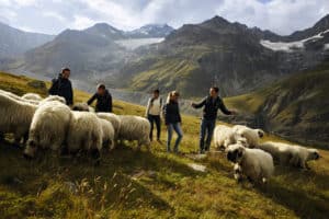 FP Events | Switzerland Tourism/Giglio Pasqua, Zermatt, Stafelalp Hike